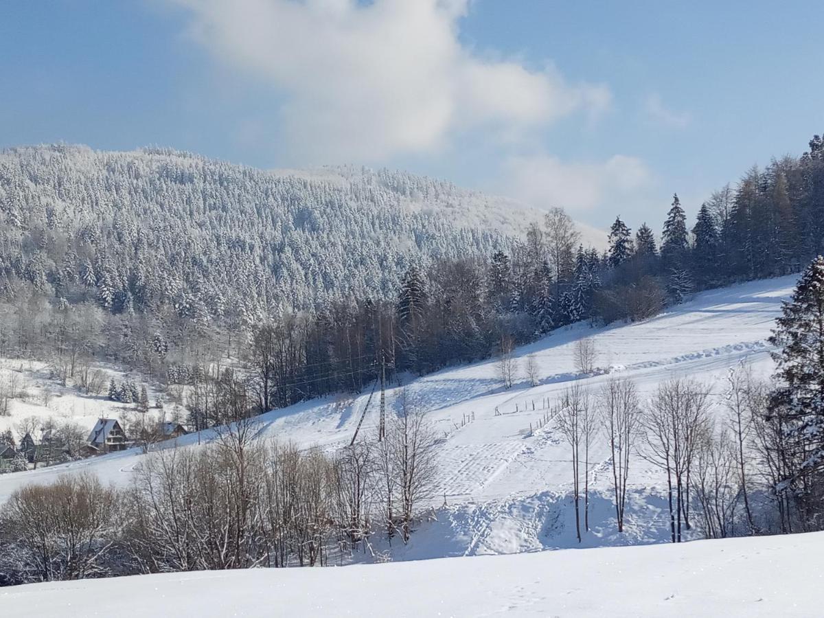 Bystra  Dom W Gorach Przy Szlaku 빌라 외부 사진