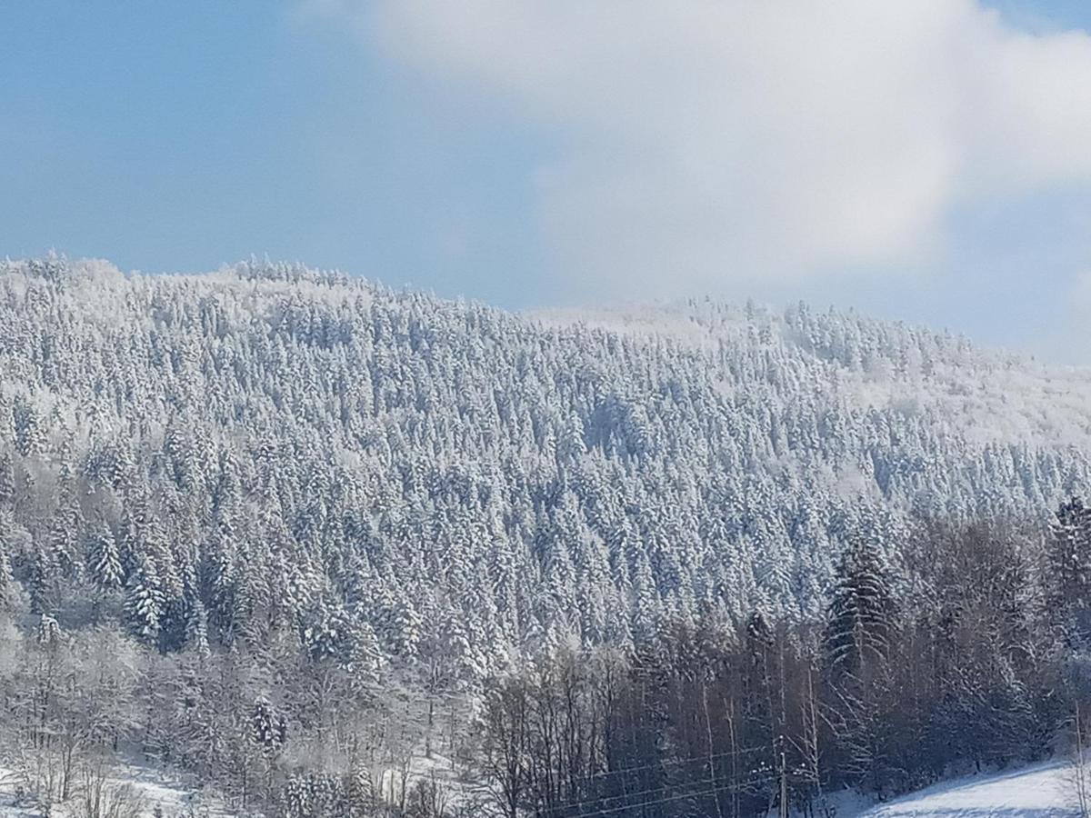 Bystra  Dom W Gorach Przy Szlaku 빌라 외부 사진