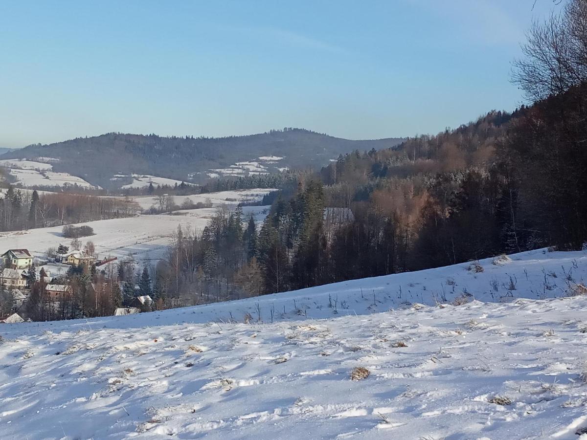 Bystra  Dom W Gorach Przy Szlaku 빌라 외부 사진